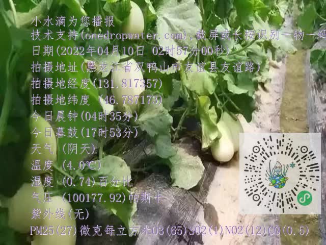 0.mp4