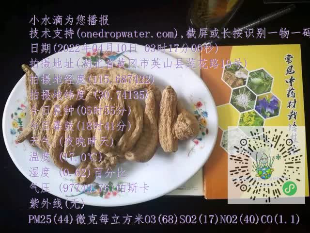 0.mp4