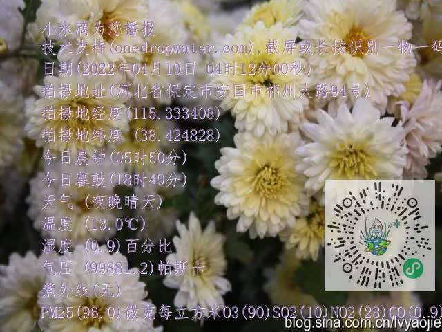 0.mp4