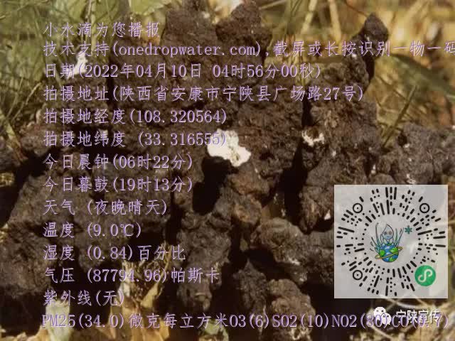 0.mp4