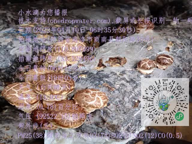 0.mp4