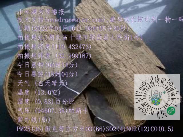0.mp4