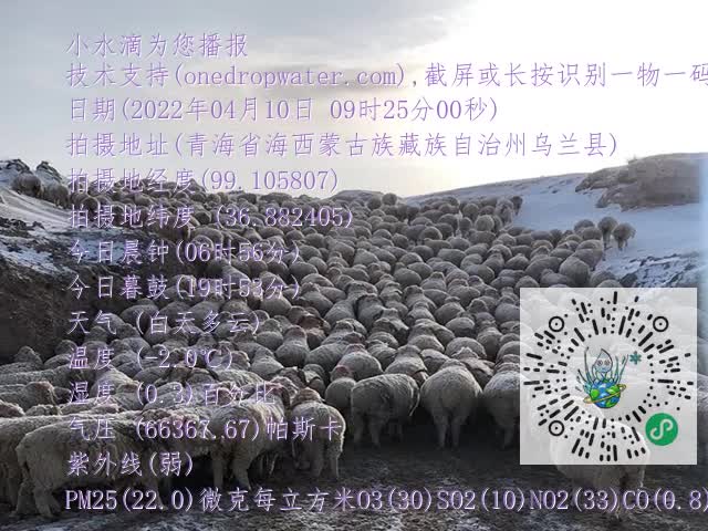 20a37bd5021d21591bac0a734073c578.mp4