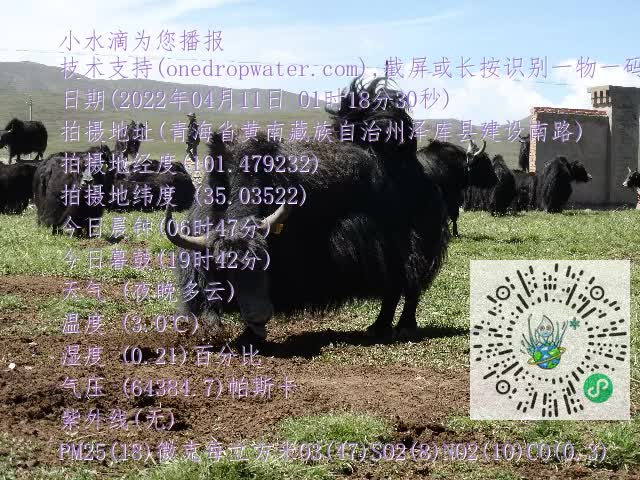 0.mp4
