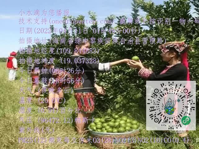 dcd69c1d88adf04ab89721dd53ac73c5.mp4