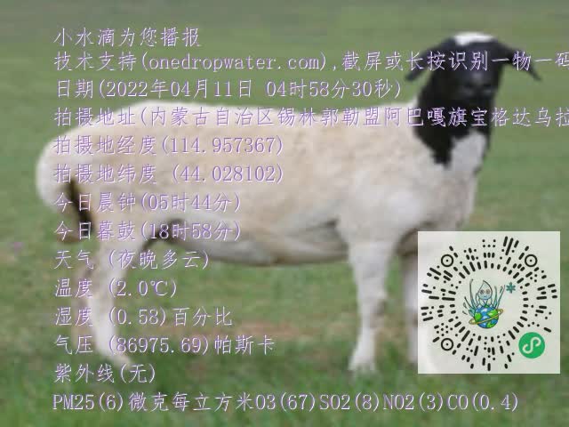 0.mp4