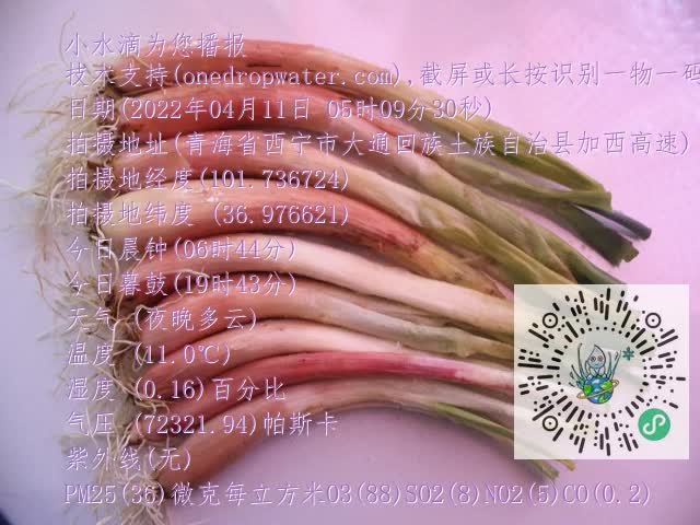 0.mp4
