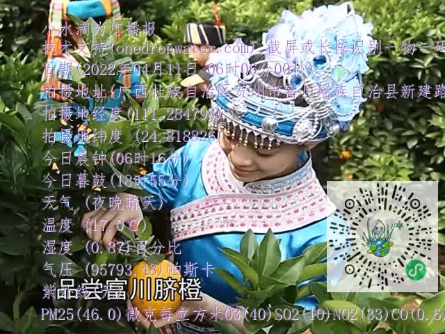 dd8090a4e4d4c7718ed15ab6692d8051.mp4