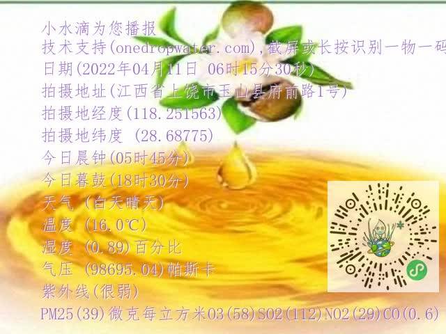 0.mp4