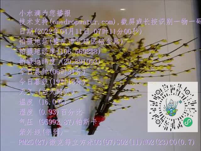 0.mp4