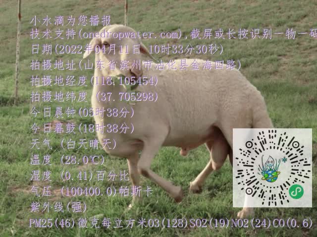 0.mp4