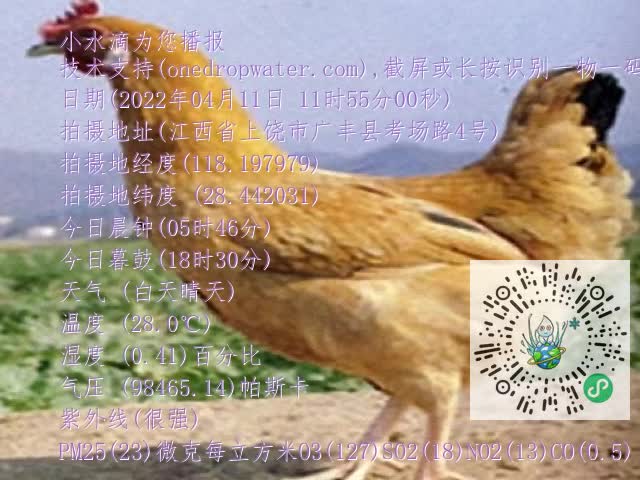 0.mp4