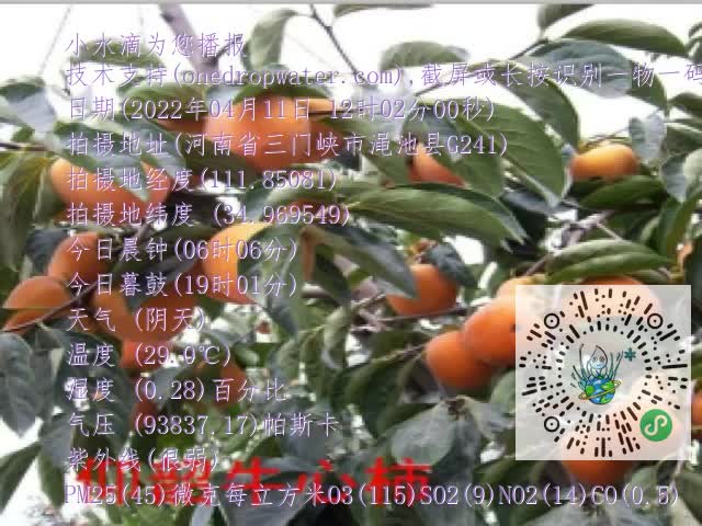 0.mp4