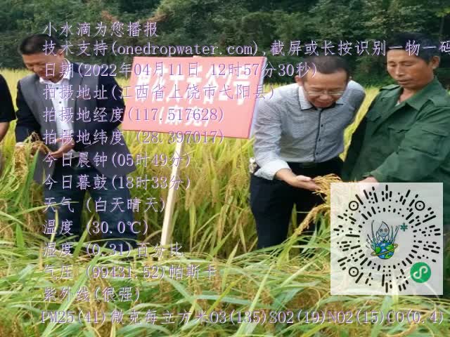 0.mp4