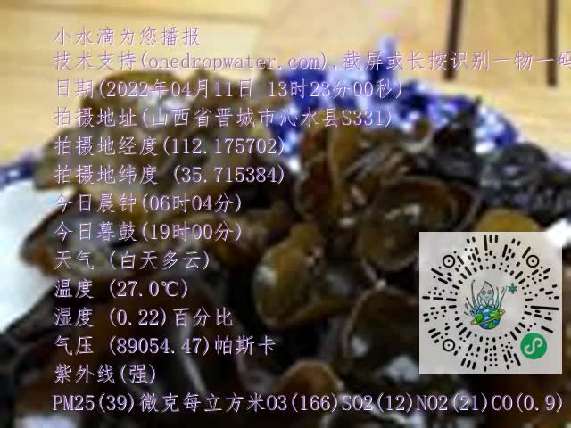 0.mp4