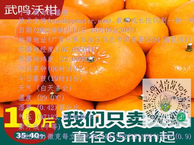 e8ac2f86629b315922c7e03277189119.mp4