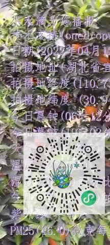 lkmqrO4f0IIYlL_igbJWnOBx4l09mp4