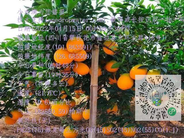 798093ca6c0a8be1c5d9a1179385bf1d.mp4