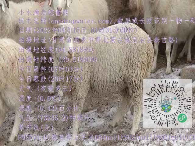 0.mp4