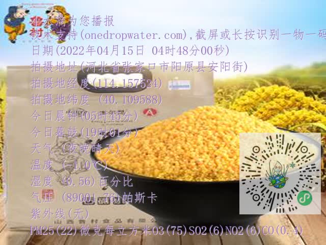 0.mp4