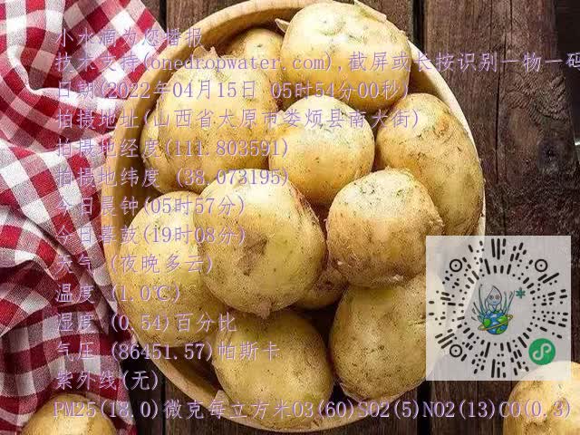 0.mp4