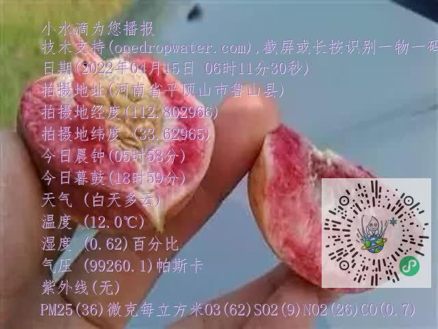 0.mp4