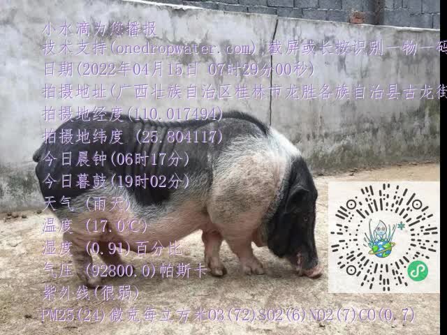 0.mp4