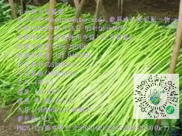 0.mp4