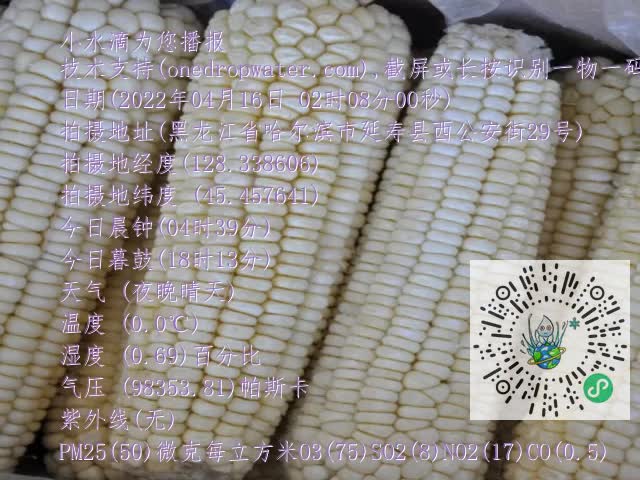 0.mp4