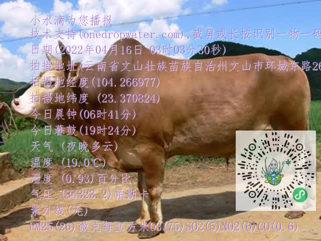 0.mp4
