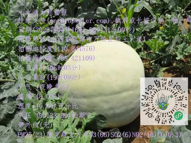 0.mp4