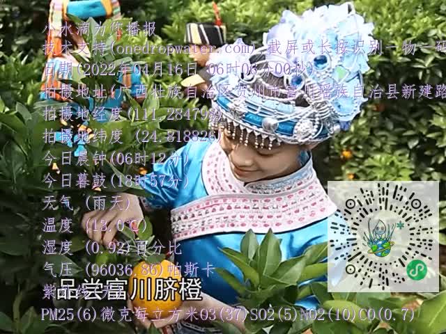 dd8090a4e4d4c7718ed15ab6692d8051.mp4