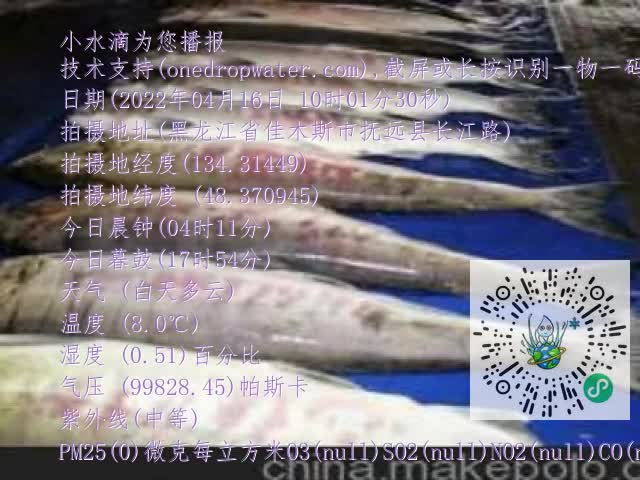 0.mp4
