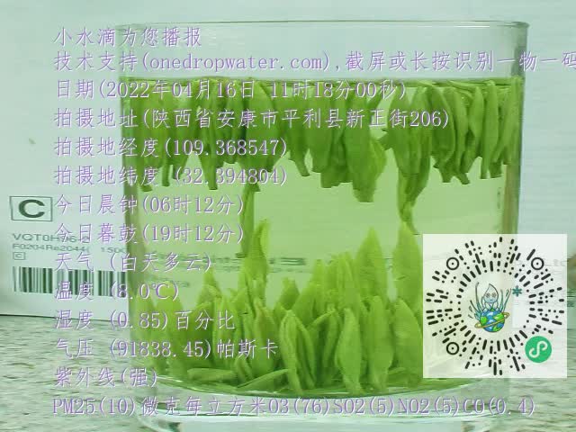 0.mp4