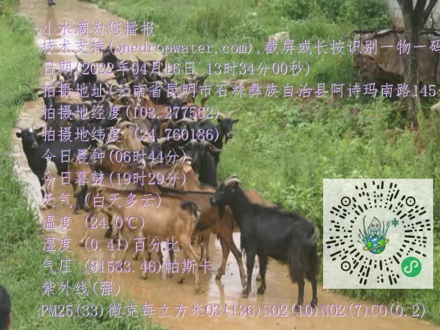 0.mp4