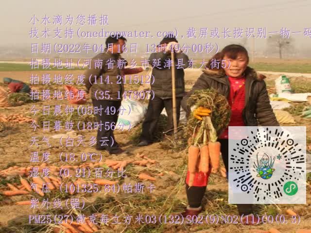 0.mp4