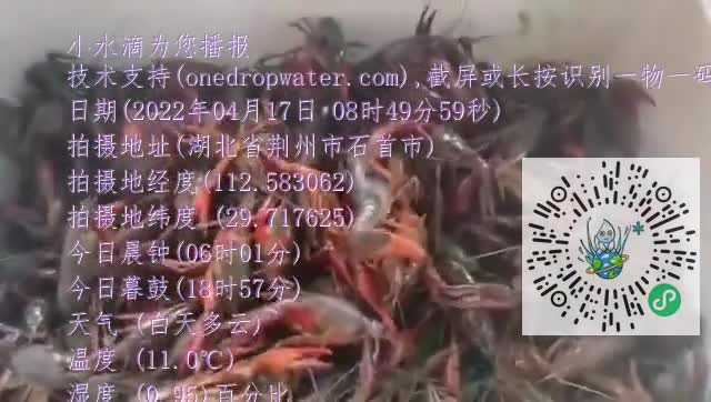 Fi-OdMvh51Gt9dhgHAeehK2rfFa4mp4