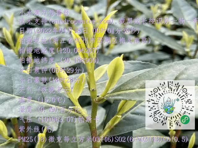 bcb53627134d4c6267f5e8555c504d40.mp4