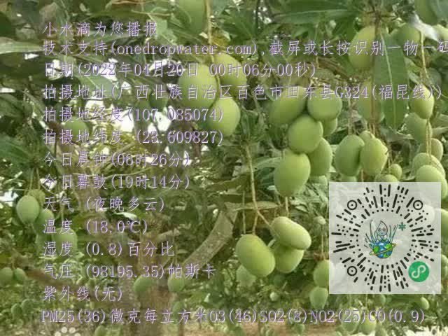 8ef11e115cff7ad3080e45ead4504c5b.mp4