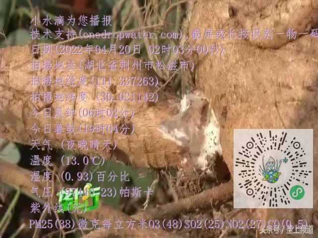 0.mp4