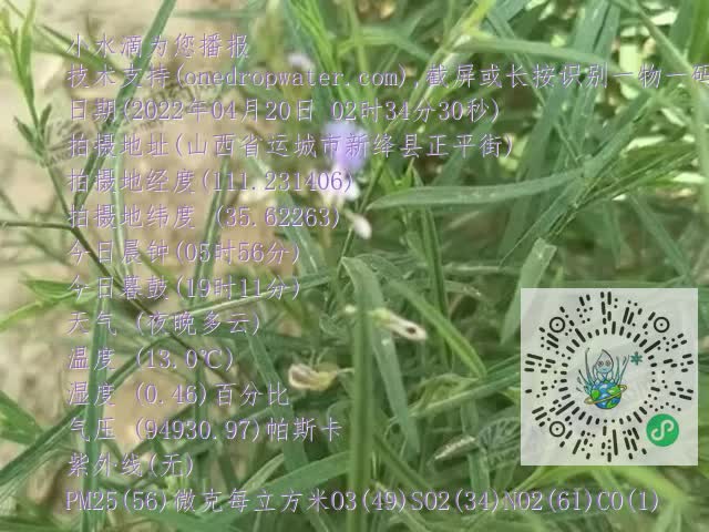 0.mp4