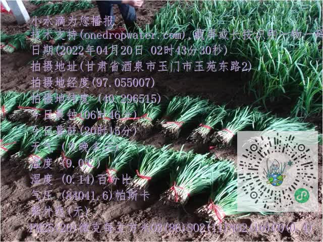 0.mp4