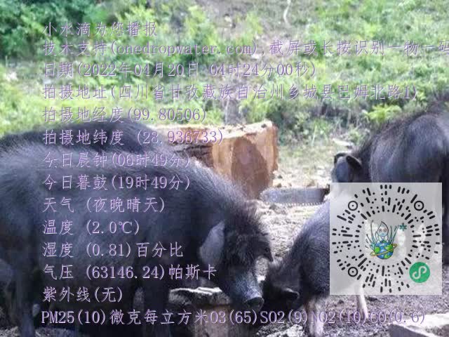 0.mp4