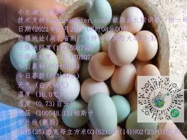 0.mp4