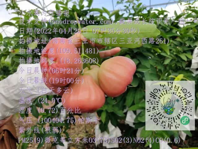 ea70551735311309afd40c2ff90052d2.mp4
