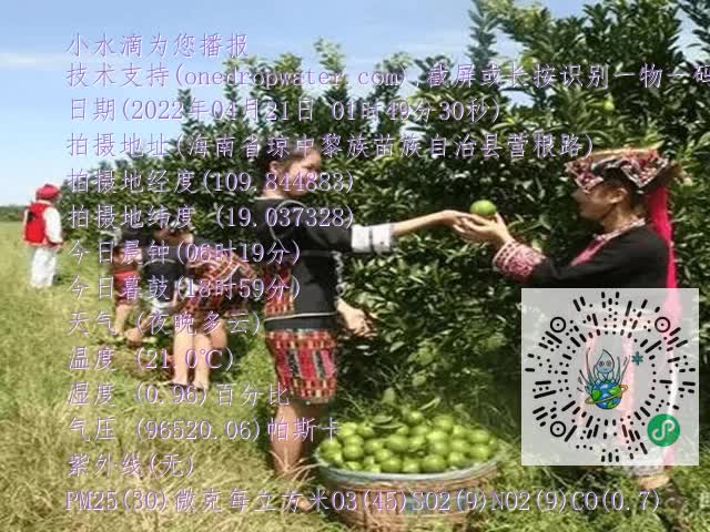 dcd69c1d88adf04ab89721dd53ac73c5.mp4