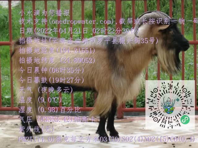 0.mp4