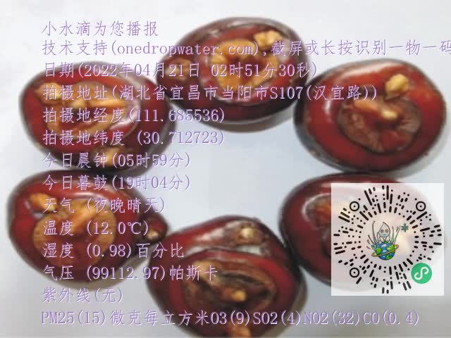 0.mp4