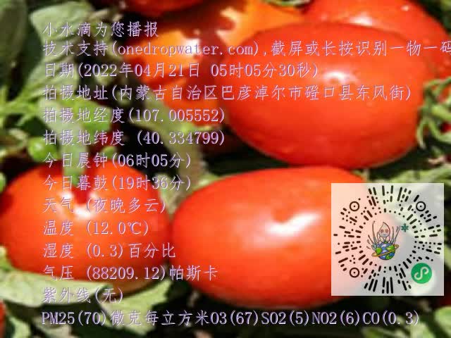 0.mp4