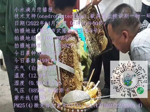 0.mp4